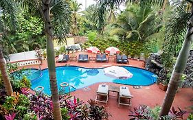 Silver Sands Sunshine - Angaara